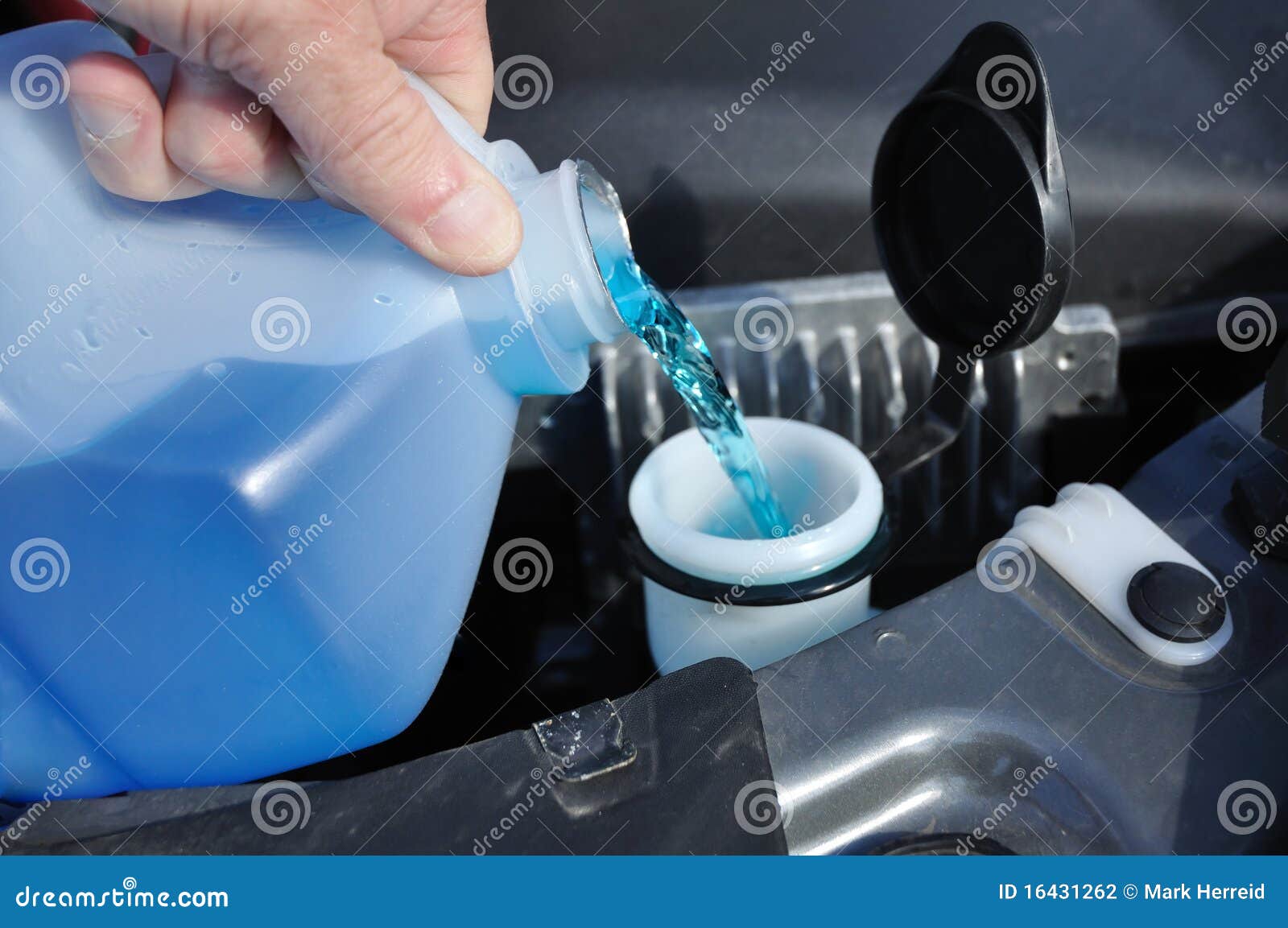 filling the windshield washer fluid