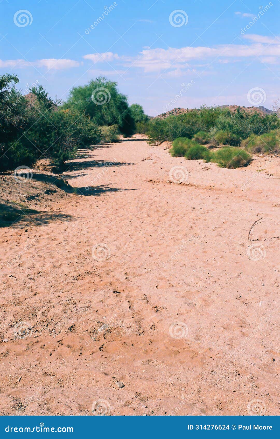 arizona desert arroyo on film