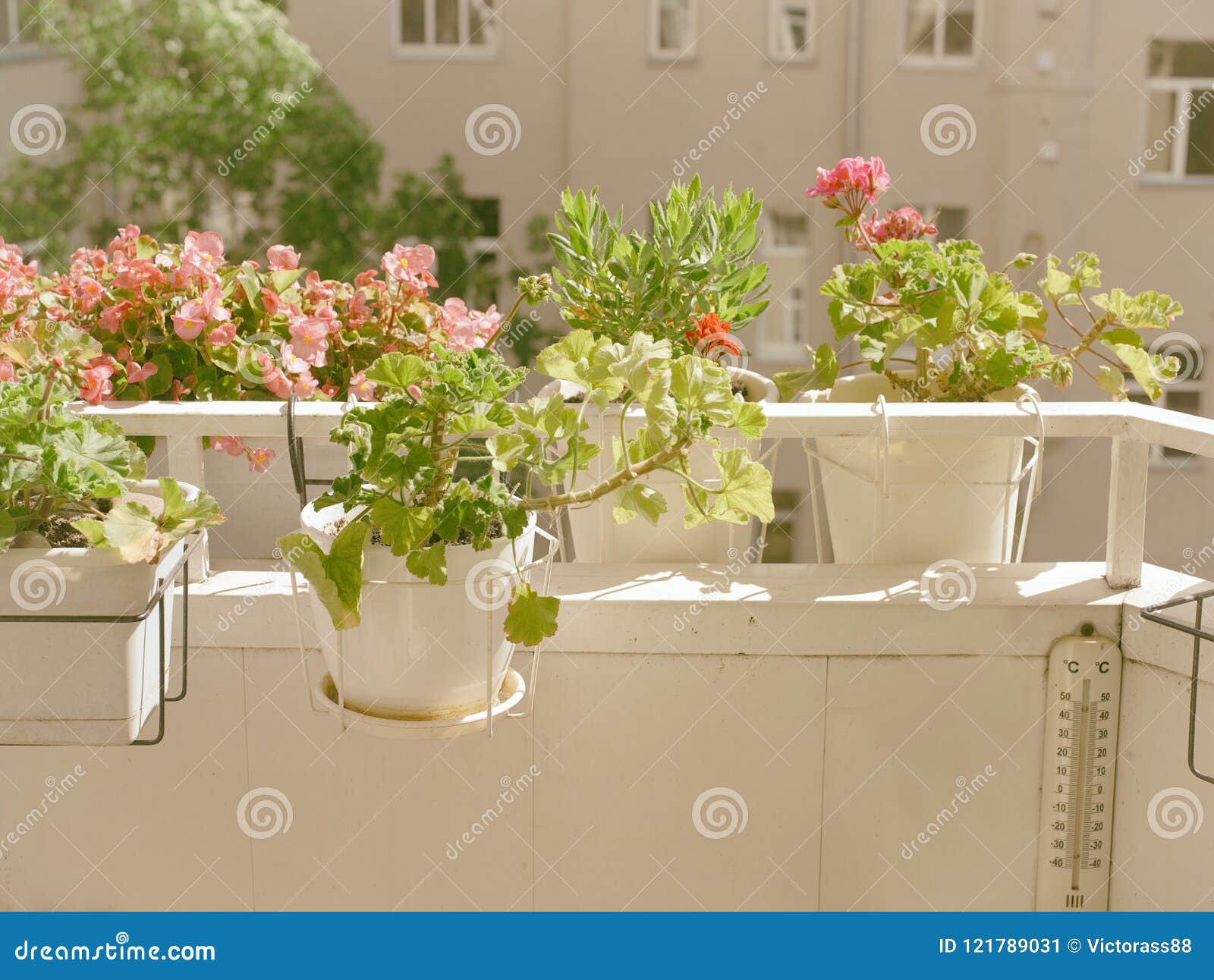 Flowers on Balcony stock image. Image of blossom, season 121789031