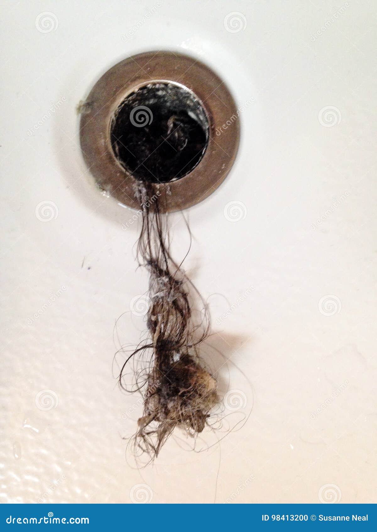 Filthy Hair Clog from Bathtub Drain Stock Photo - Image of call, caught:  98413200