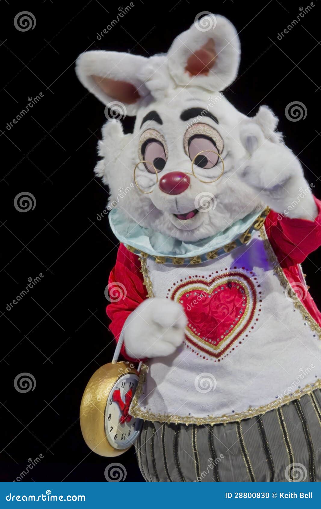 Fim branco do coelho acima imagem editorial. Imagem de vestido - 28800830, image size:1067x1690