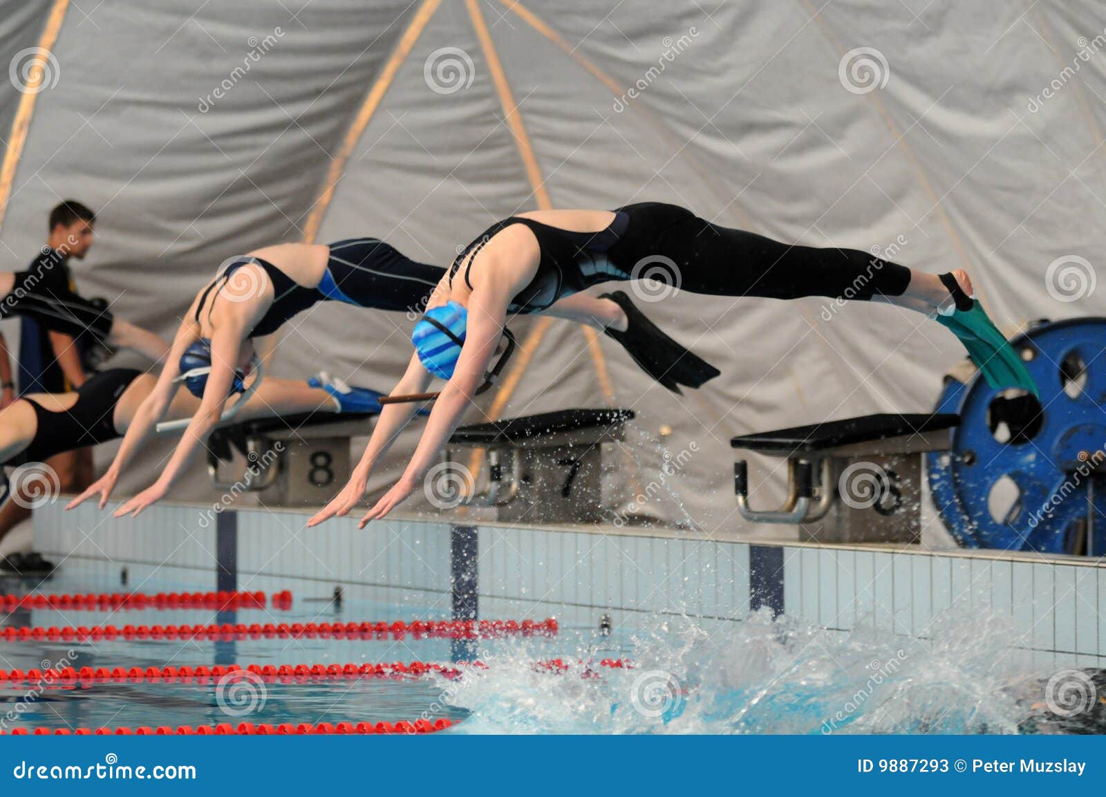 Fin swimming action editorial stock photo. Image of active 9887293