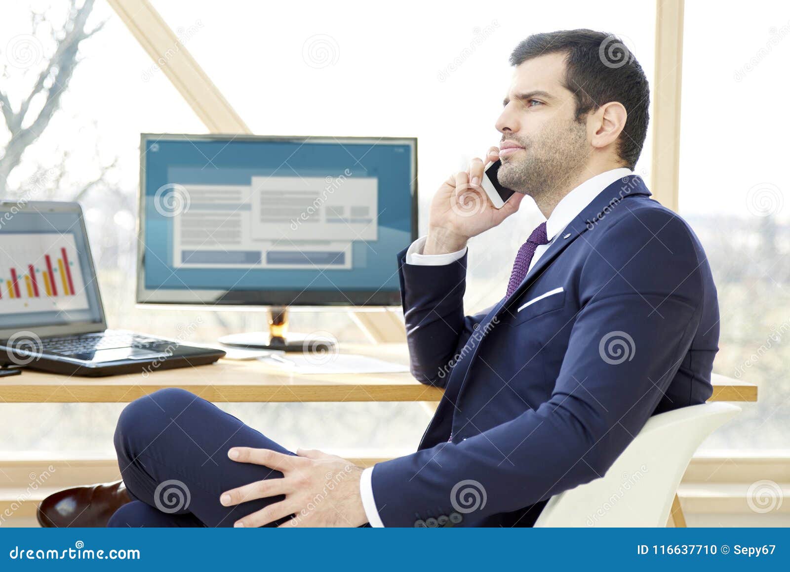 Financial Consultant Businessman Stock Photo - Image of laptop, growing ...