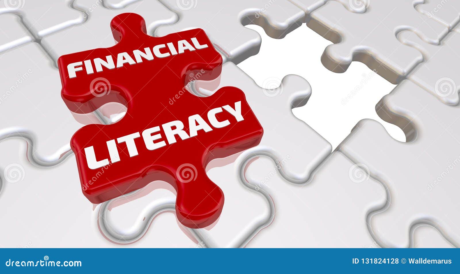 financial literacy. the inscription on the missing  of the puzzle