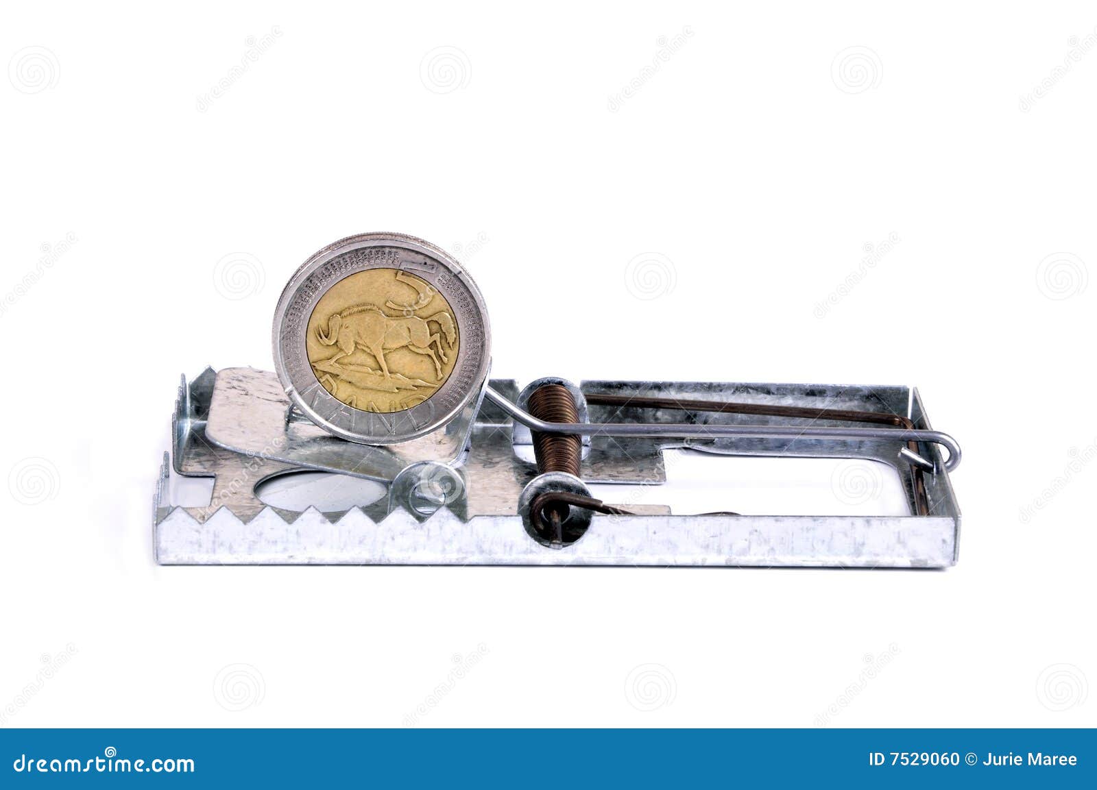 Financial risk. stock photo. Image of business, mousetrap - 7529060