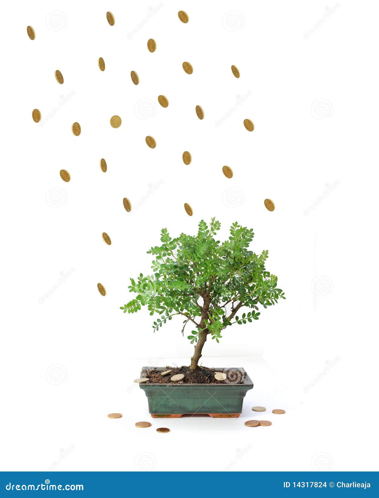 Financial windfall stock photo. Image of raining, investment 14317824
