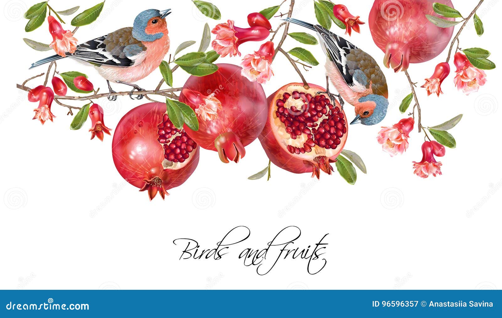 Download Finch pomegranate border stock vector. Illustration of ...