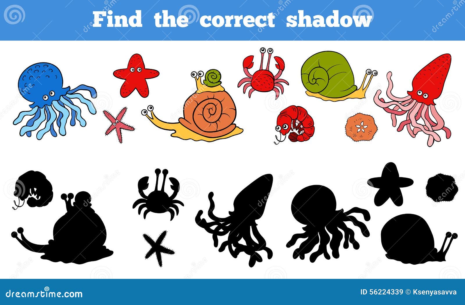 find the correct shadow (sea life, fish, octopus, snail, stars,