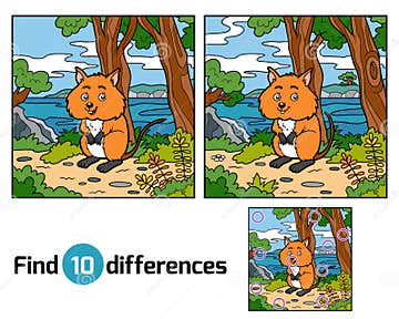 Find differences, Quokka stock vector. Illustration of entertainment ...