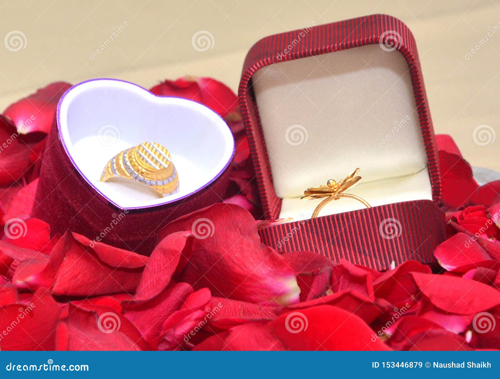 Find Marriage Ring Ceremony Stock Images Stock Image - Image of ring ...