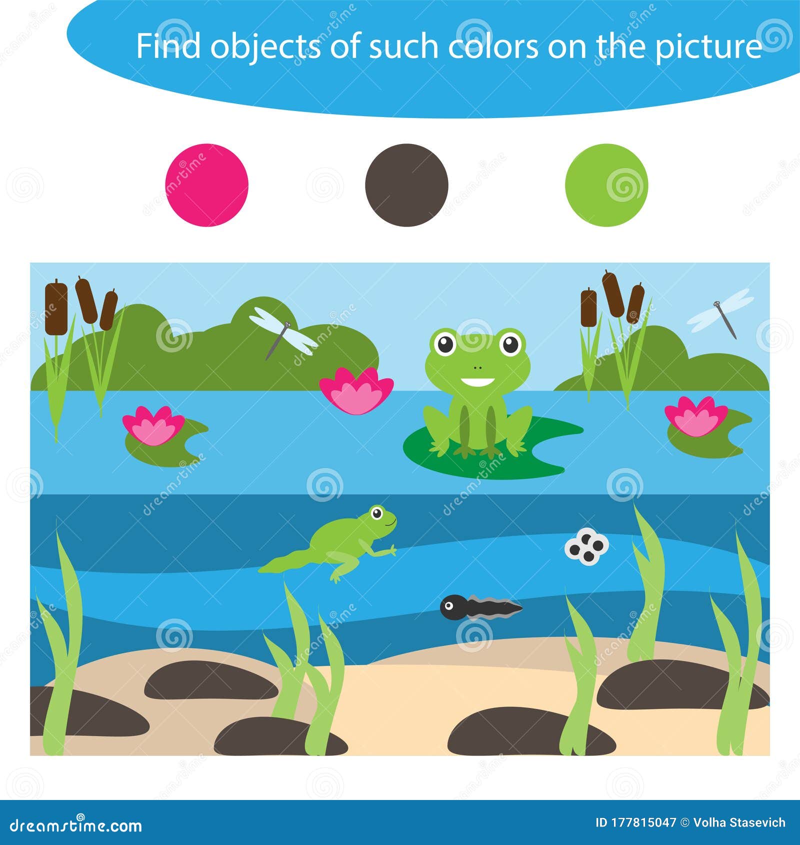 Find Objects of Same Colors, Pond Life, Game for Children in Cartoon Style,  Education Game for Kids, Preschool Worksheet Activity Stock Illustration -  Illustration of matching, child: 177815047