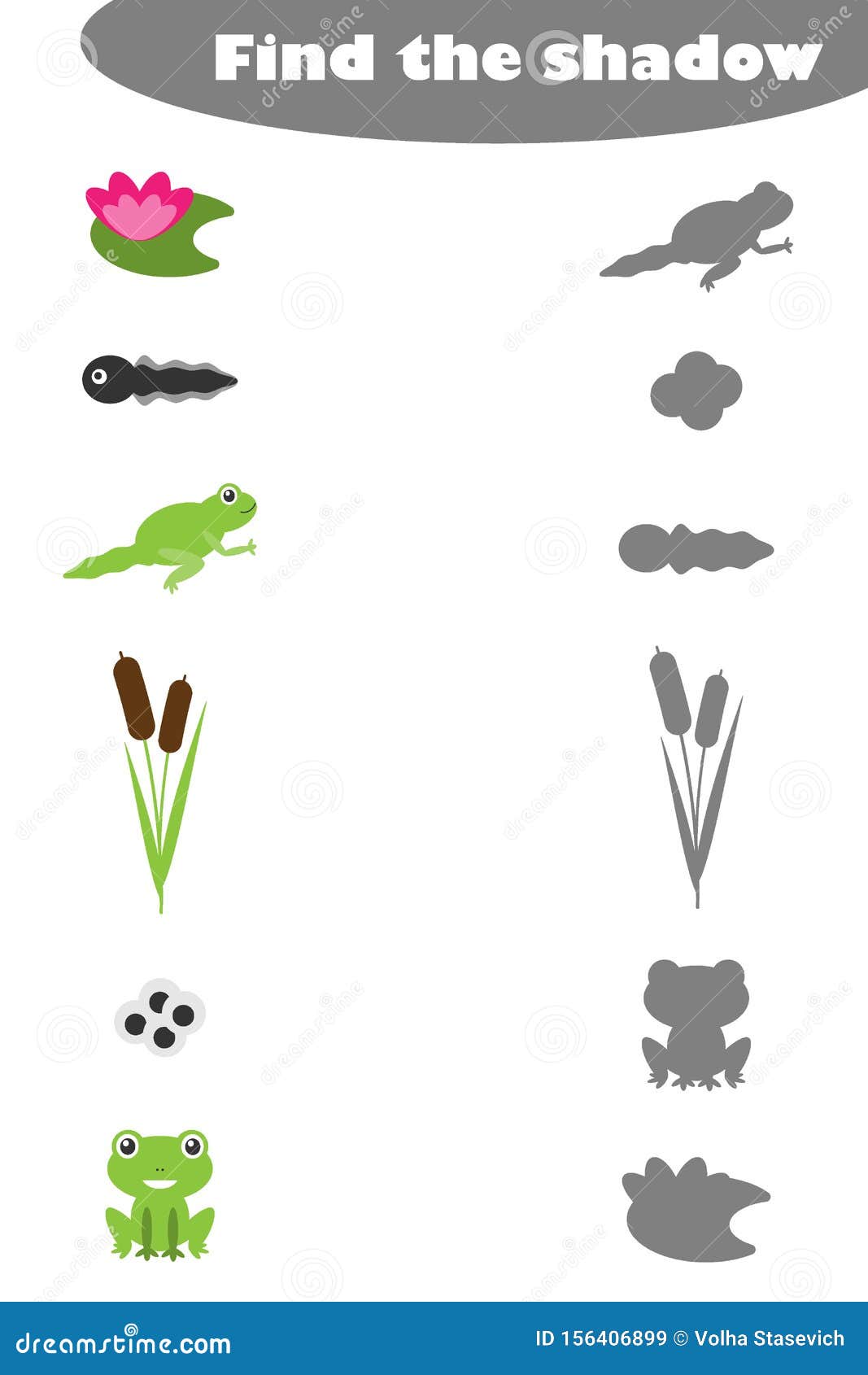 Find the Shadow, Game for Children Frog Life Cycle and Pond in Within Frog Life Cycle Worksheet