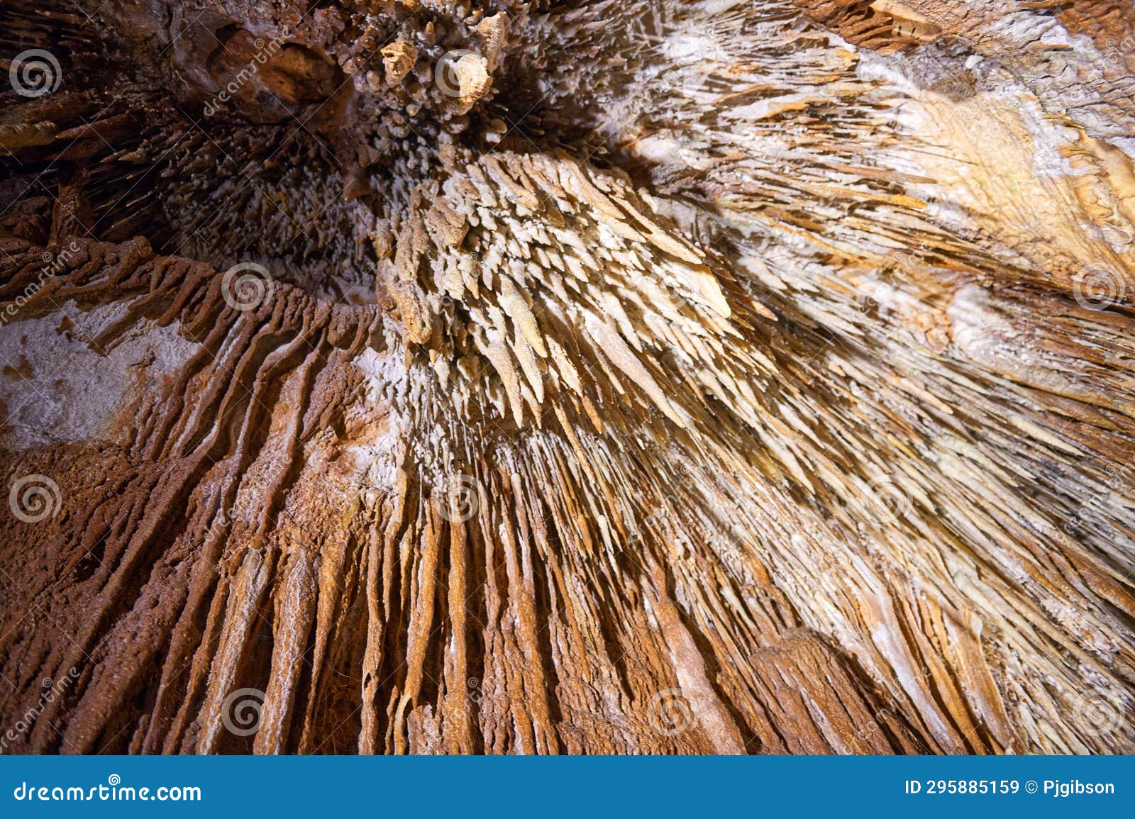 mole creek caves tasmania