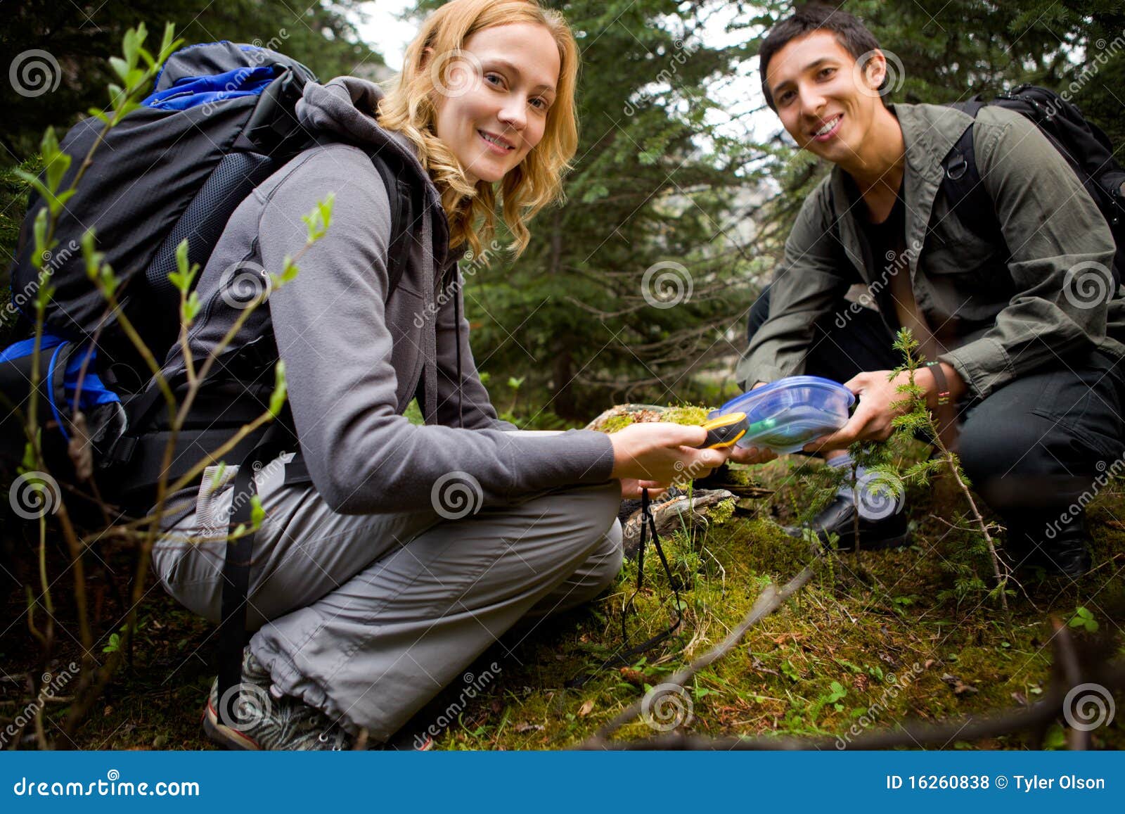 Geocache Containers Stock Photos - Free & Royalty-Free Stock Photos from  Dreamstime