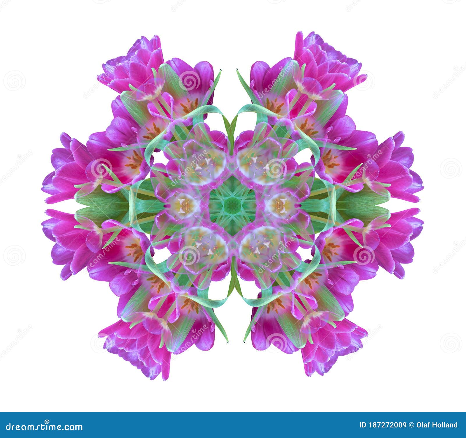decorative geometrical color pattern made of macros of pink green tulips on white background