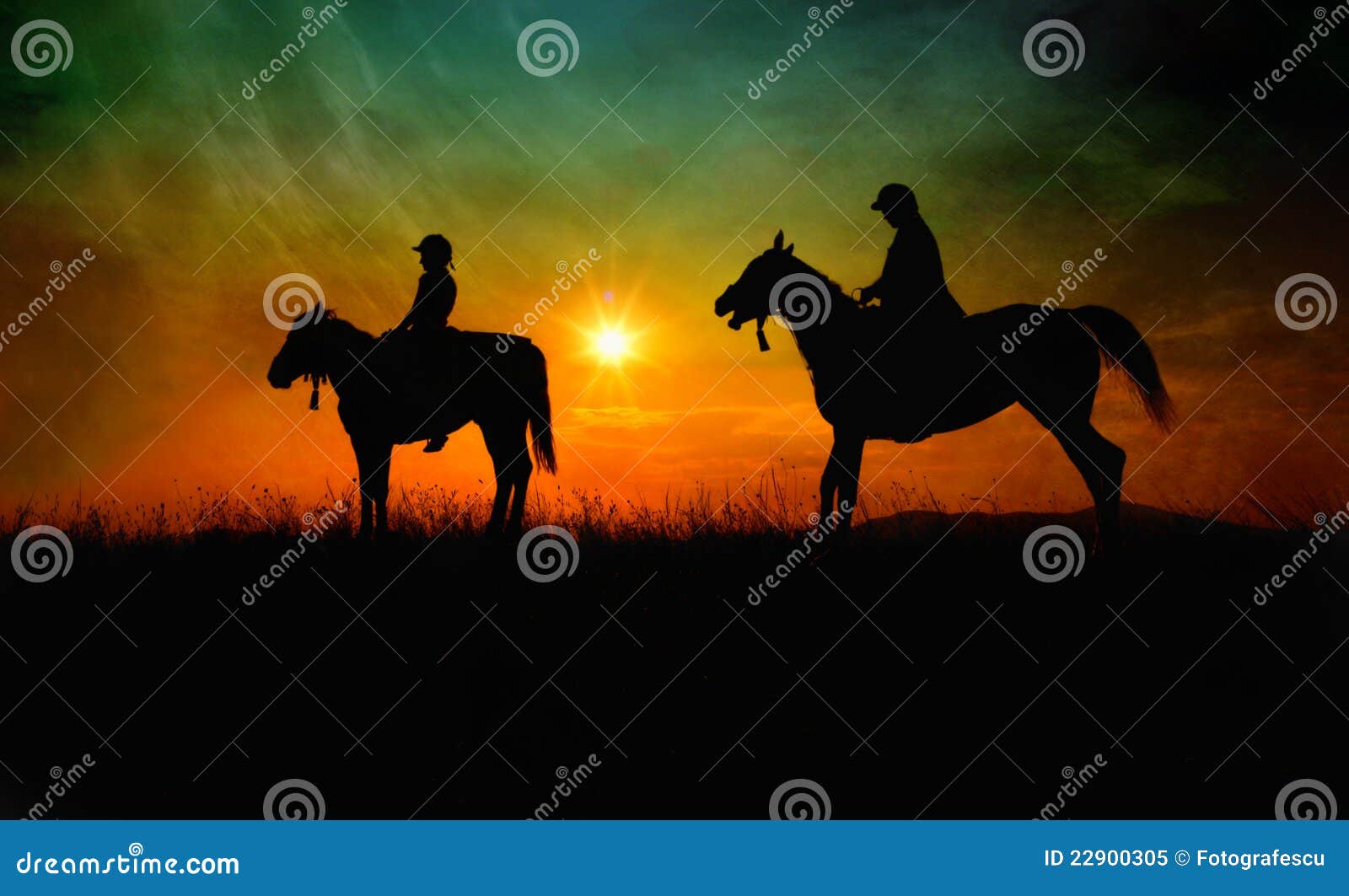 fine art horse riders