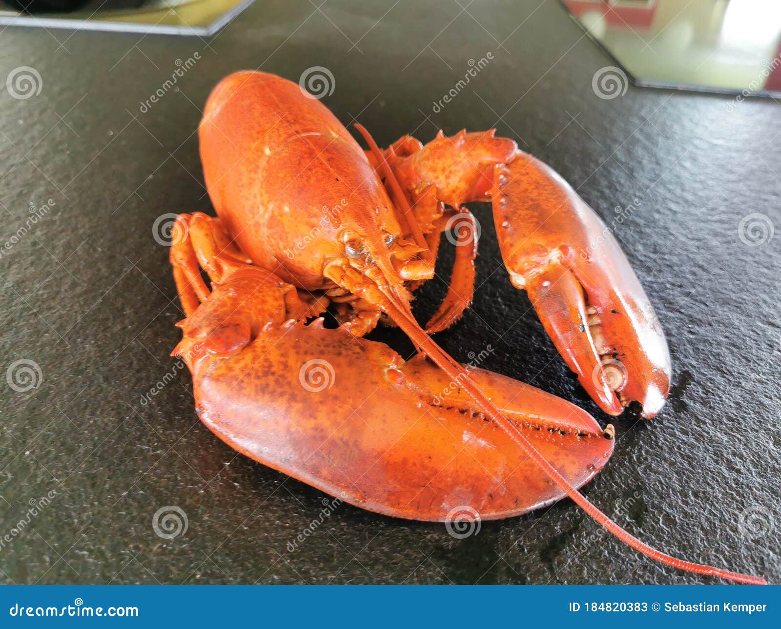 Fine Dining Gourmet Food Restaurant Fish Risotto Stock Image Image of