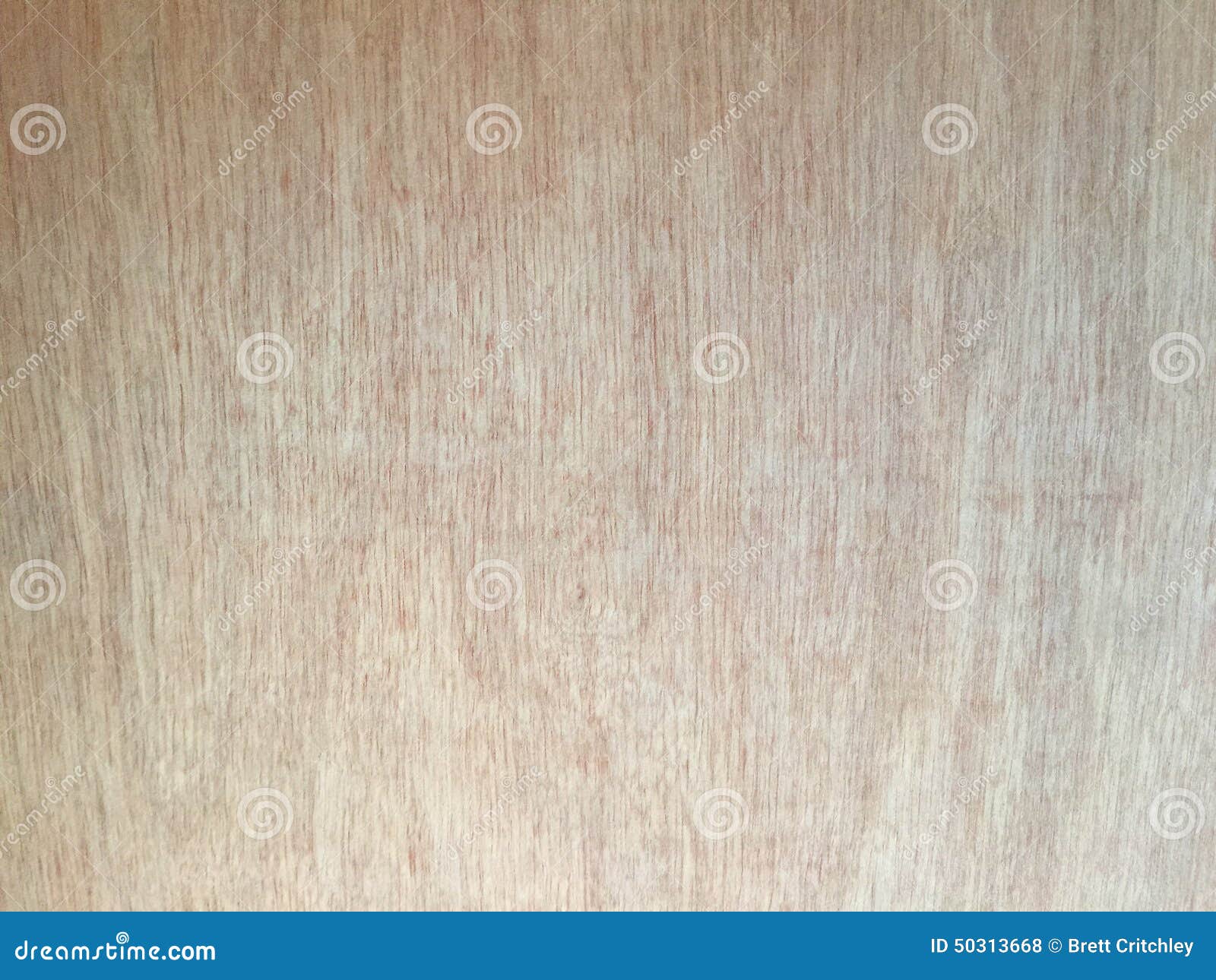 Fine Grain Wood Texture Background Stock Photography CartoonDealer