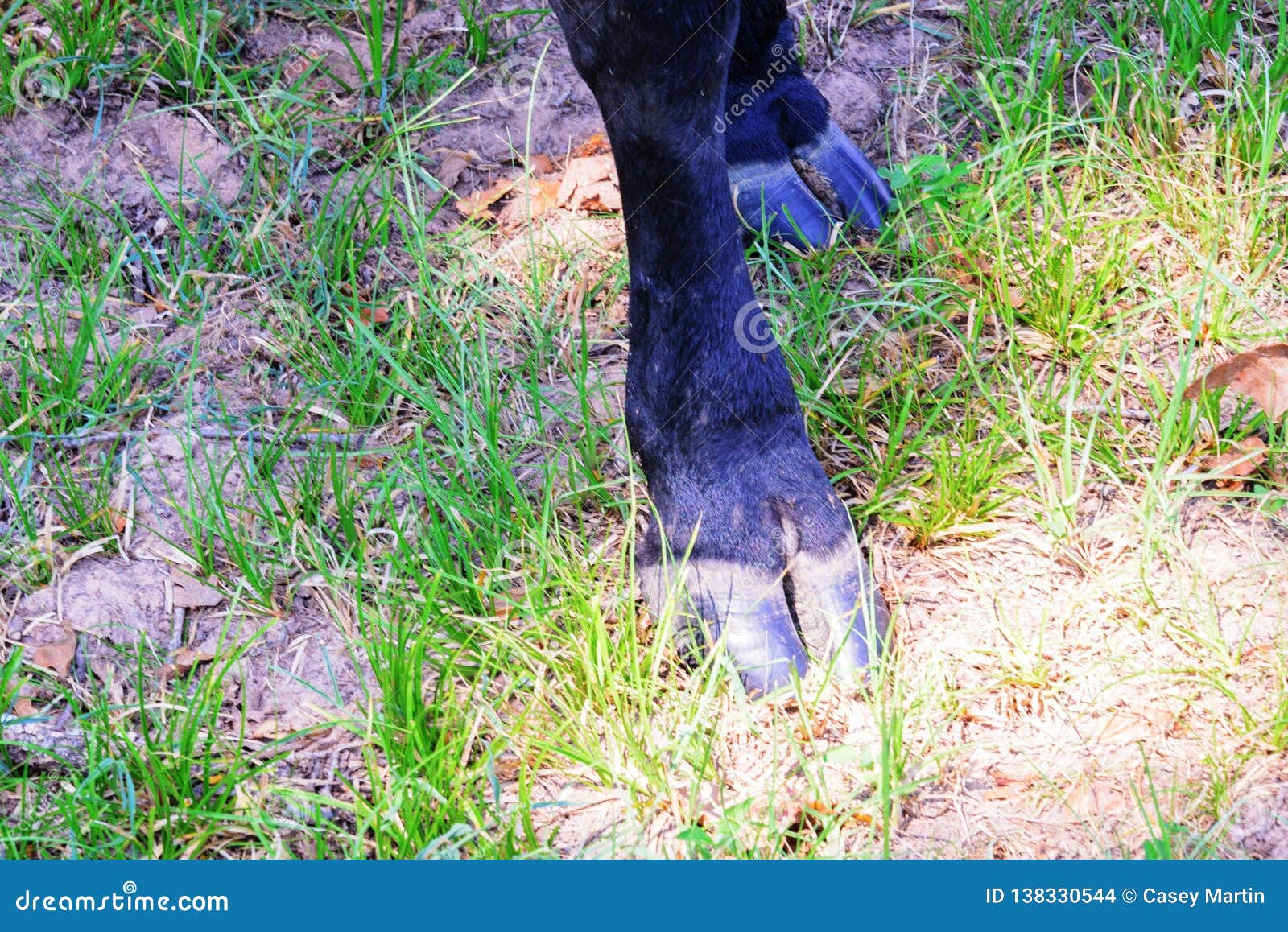 30 Charm Per Scarpe In PVC - Decorazioni Colorate Per Lacci Con Personaggi Cartoon E Anime - Foto 4