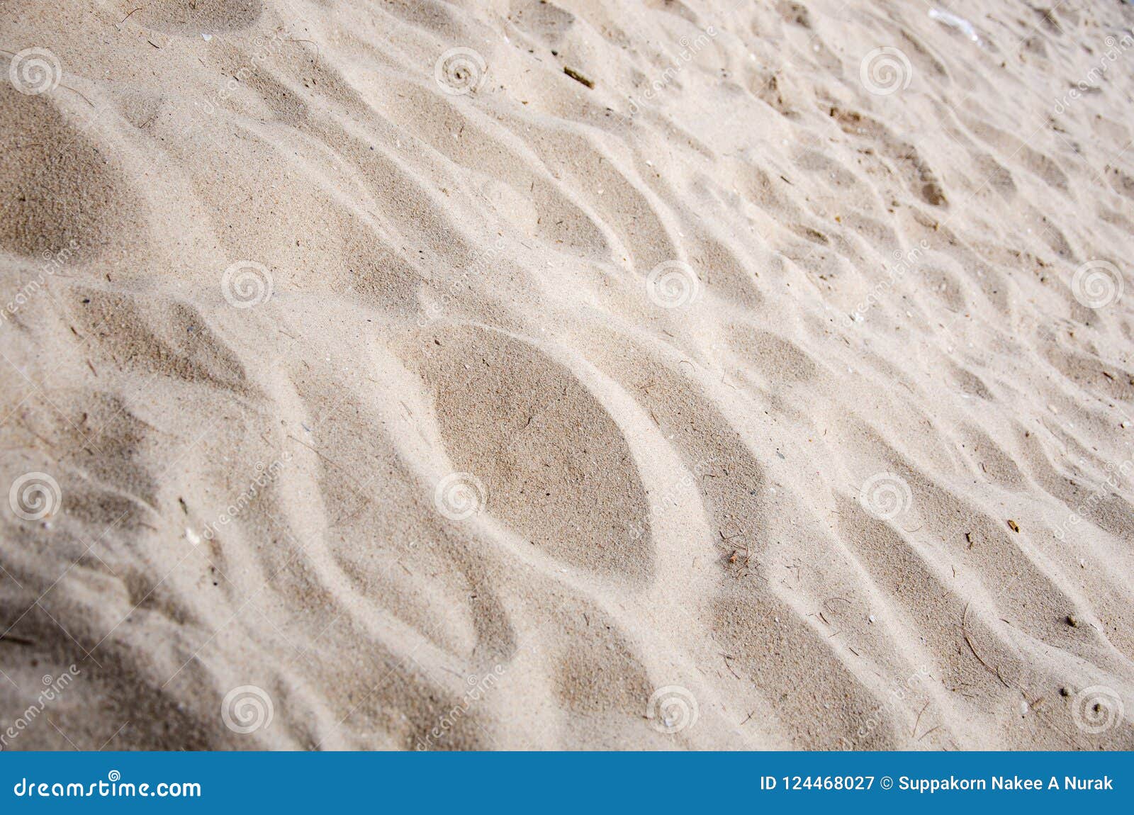 Fine Sand Beach On The Beach Stock Image Image Of Pattern Sand