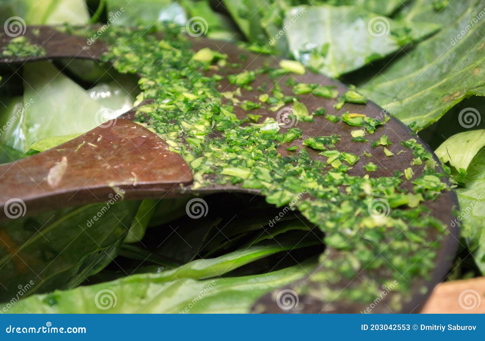 Finely Chopped Green Cabbage on an Ax Blade Stock Image Image of