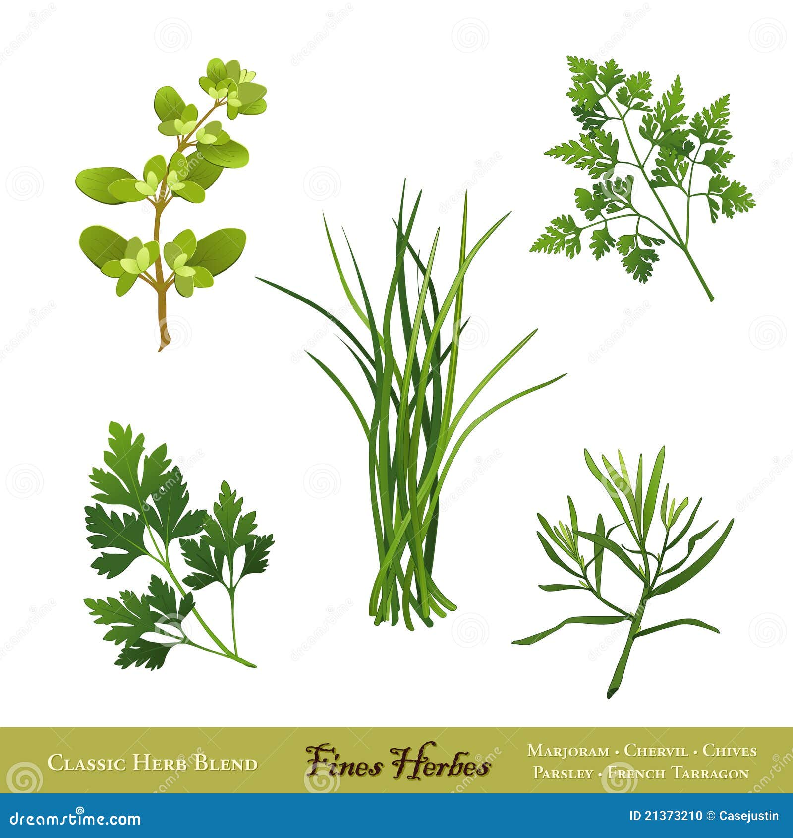 Fines Herbes, Herb Blend stock vector. Illustration of artemesia 21373210