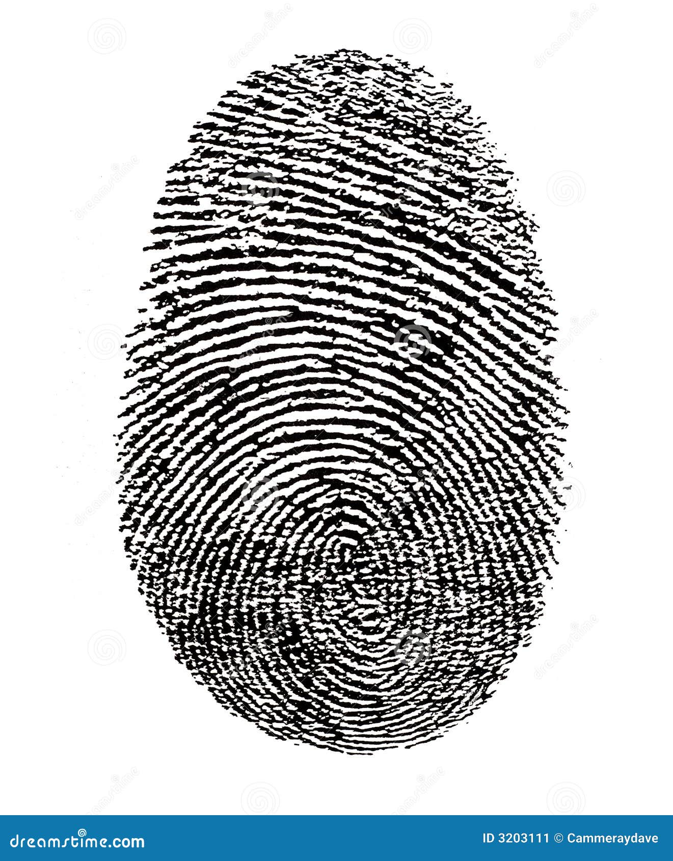 finger print id security