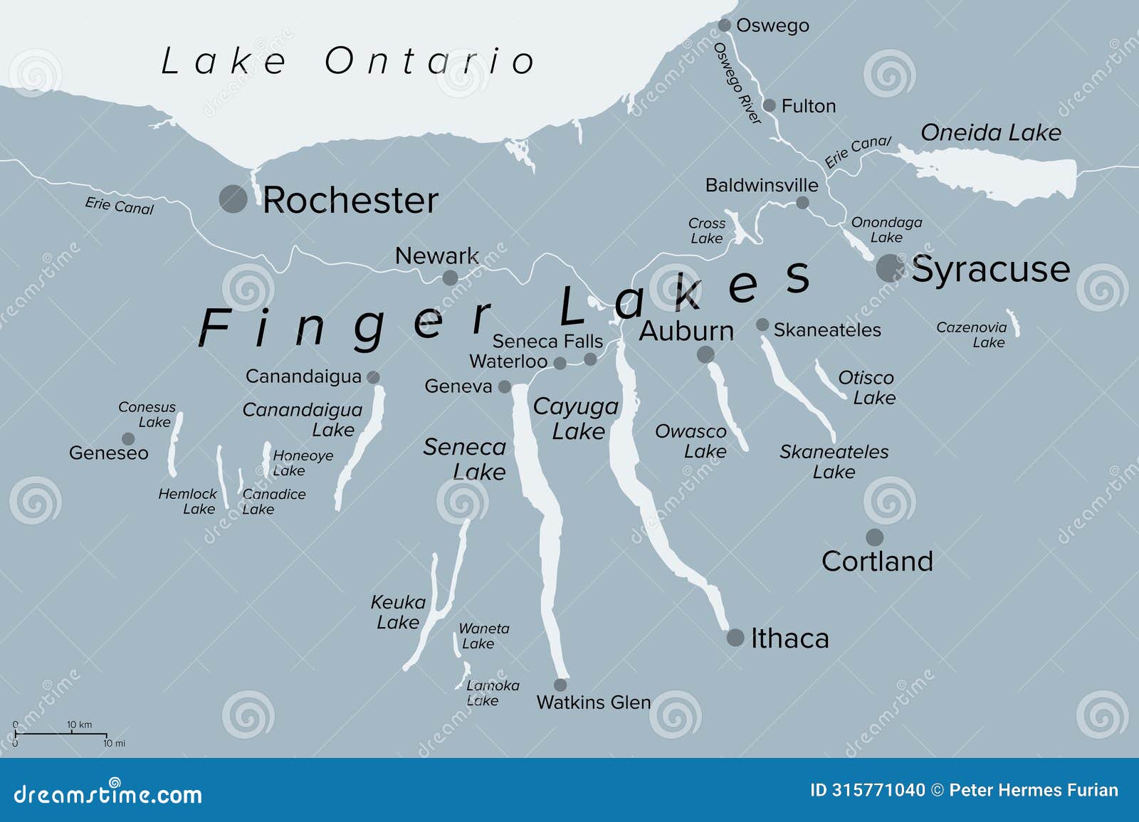 finger lakes region in new york state, united states, gray political map