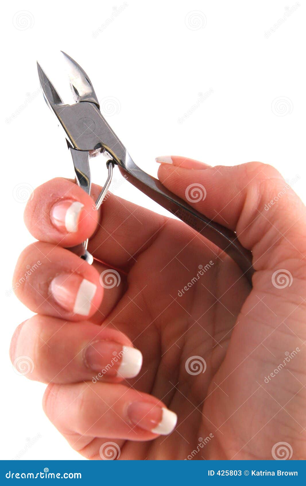 Fingernail Clippers in Hand Stock Image Image of finger, hand 425803