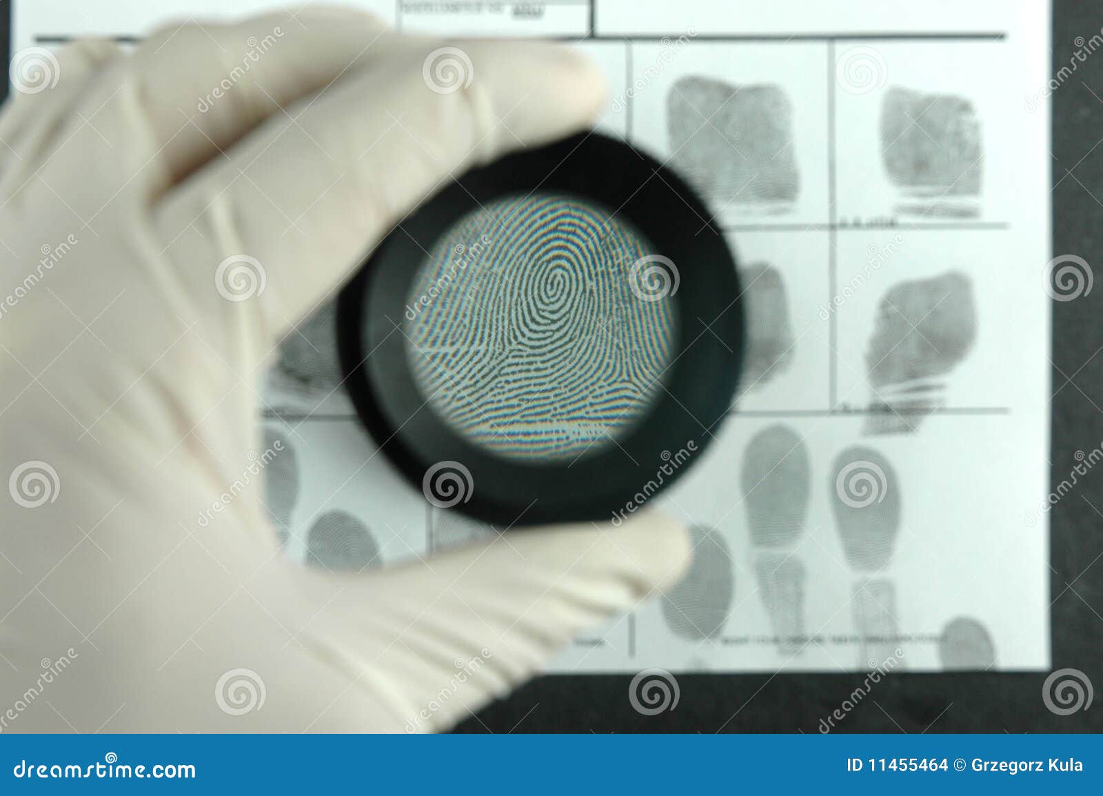 Fingerprint card stock photo. Image of dactyloscopic 11455464