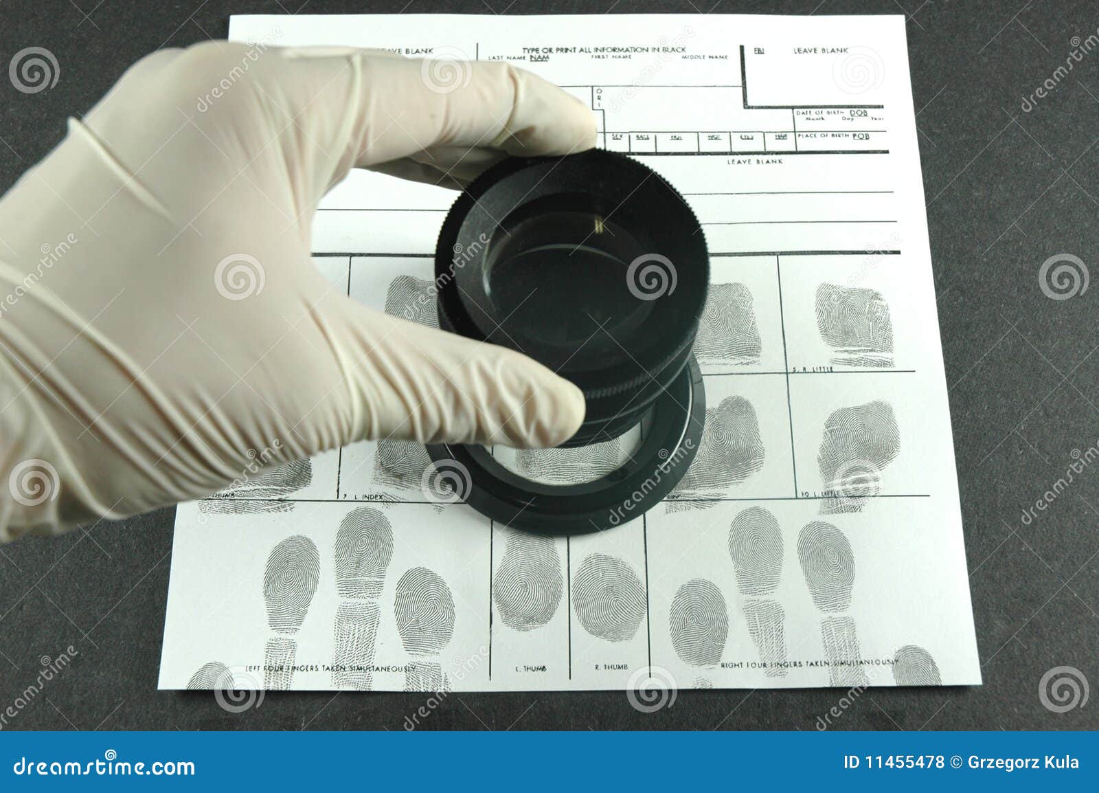 Fingerprint card stock photo. Image of fingerprint, ridges 11455478