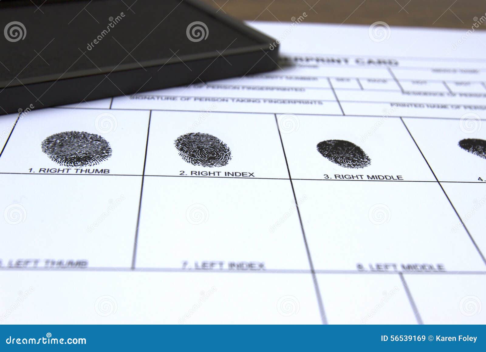 Fingerprint card stock image. Image of safety, taking 56539169