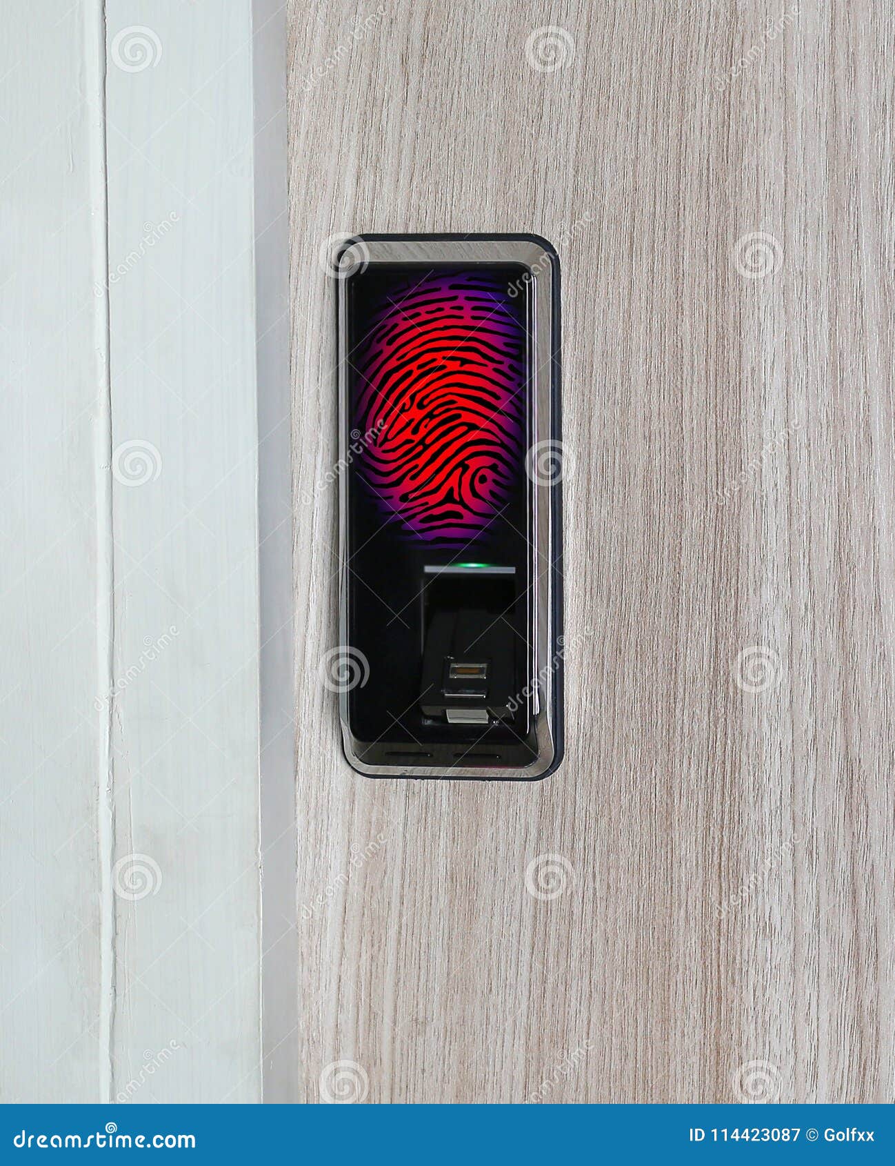 Fingerprint Used As an Identification Method on a Door Lock. Digital
