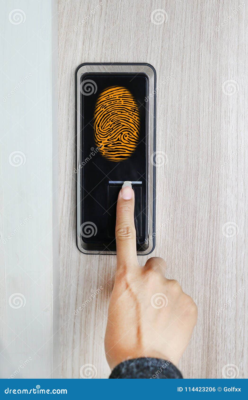 Fingerprint Used As an Identification Method on a Door Lock. Digital
