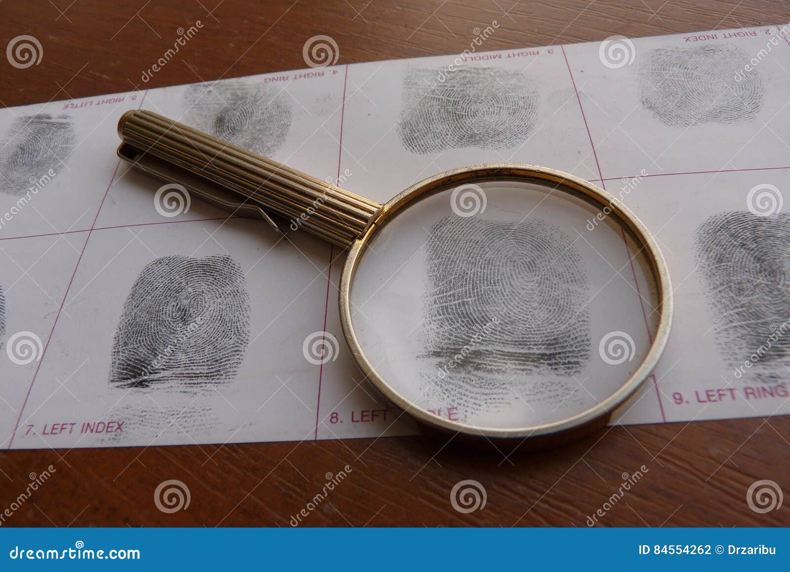 fingerprints examination