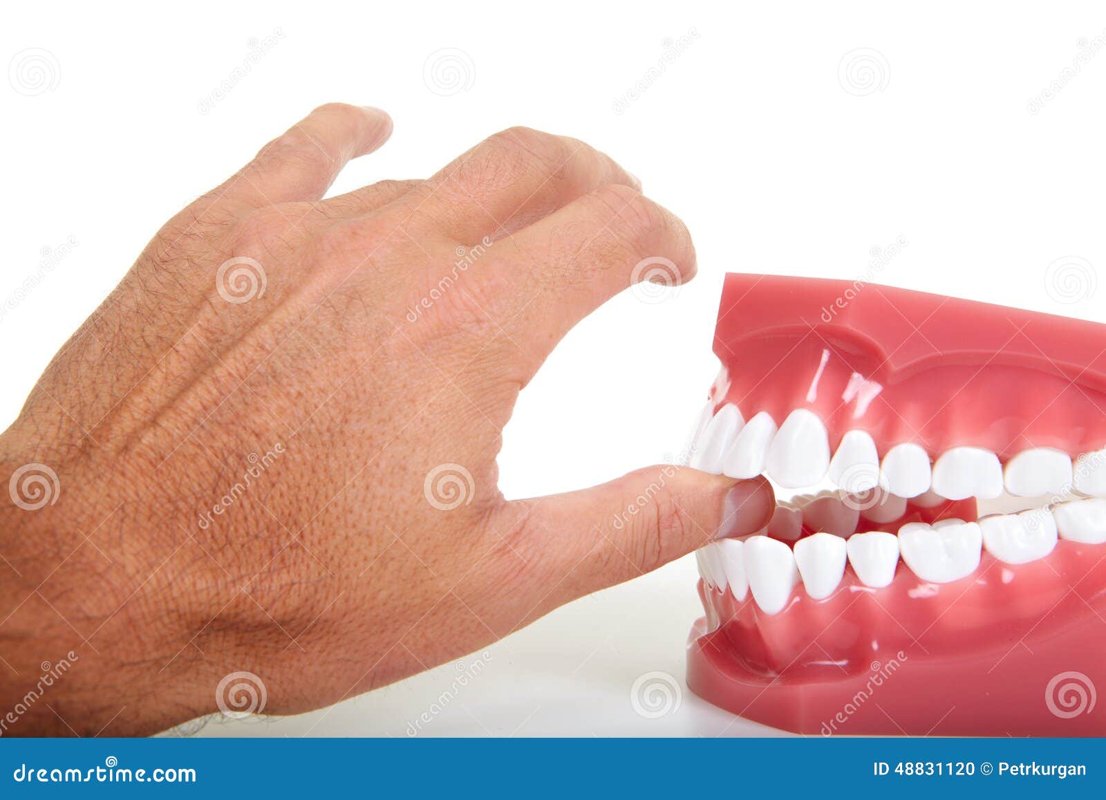 Fingers and teeth stock photo. Image of white, clinic 48831120
