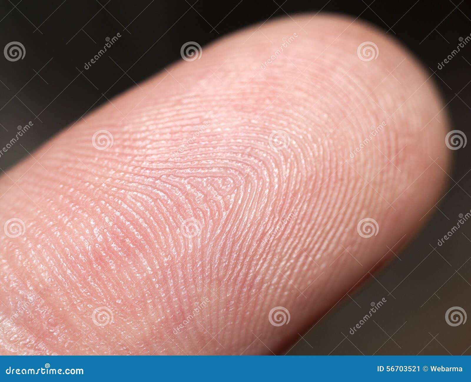 Fingerspitze stockbild. Bild von anerkennung, hand, system 56703521