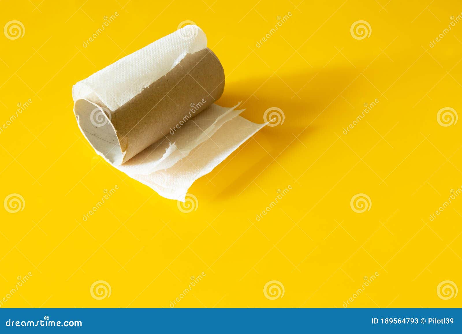 there is no toilet paper