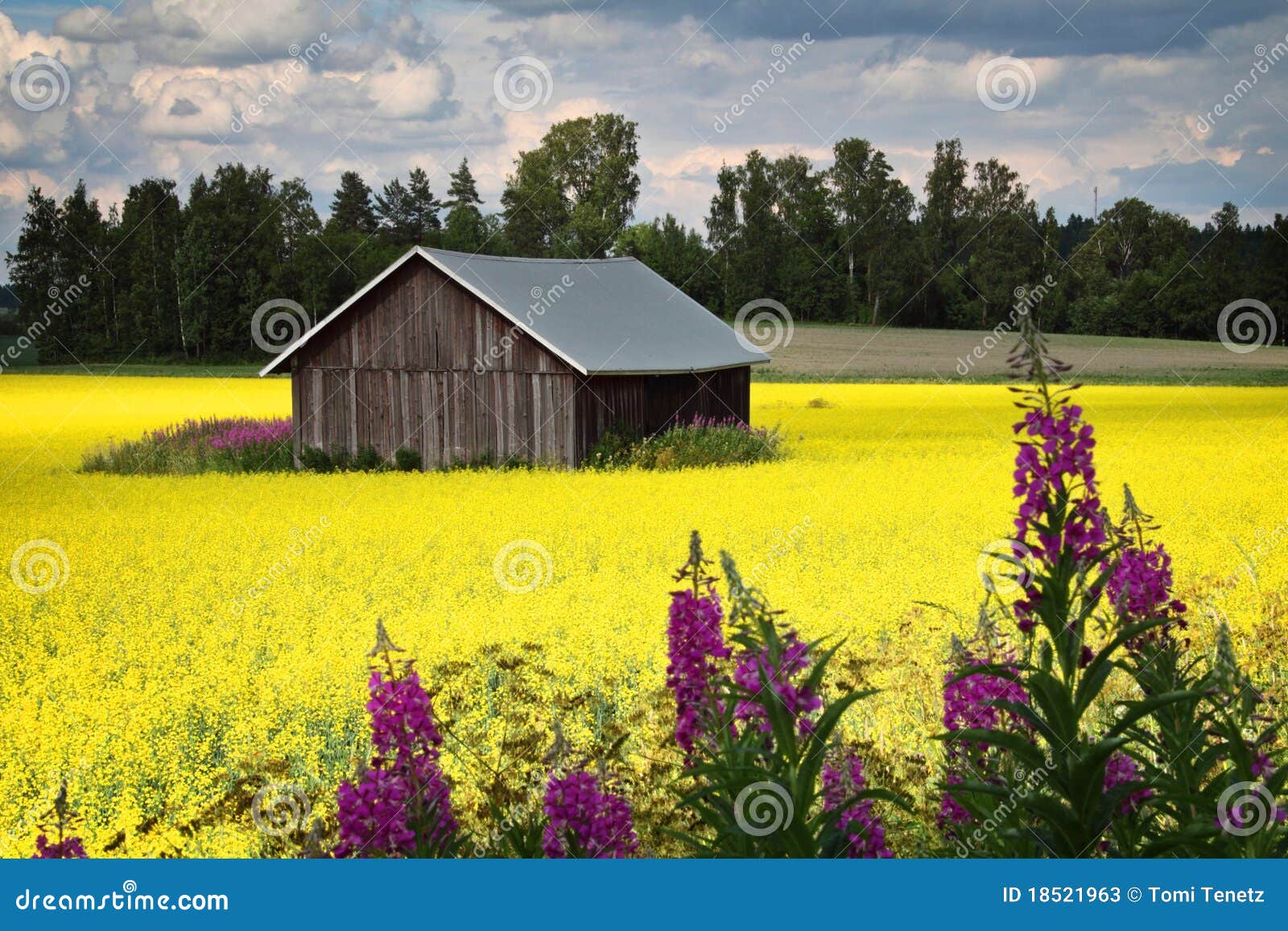 finland: bright colors of summer