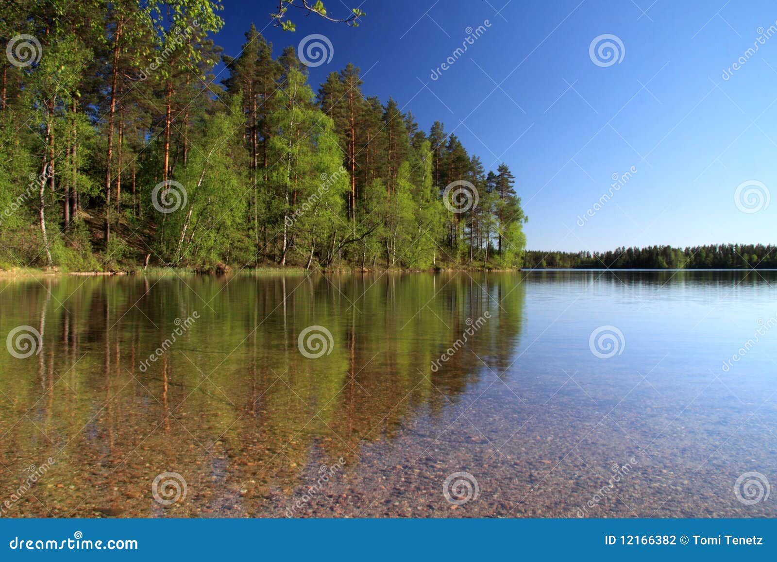 finland: summer and lake