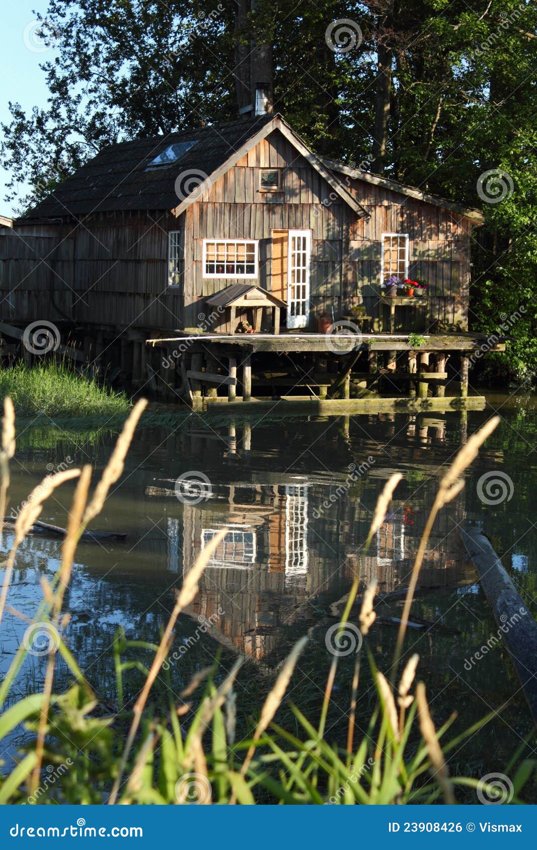 Finn Slough House stock photo. Image of coastline, swamp 23908426