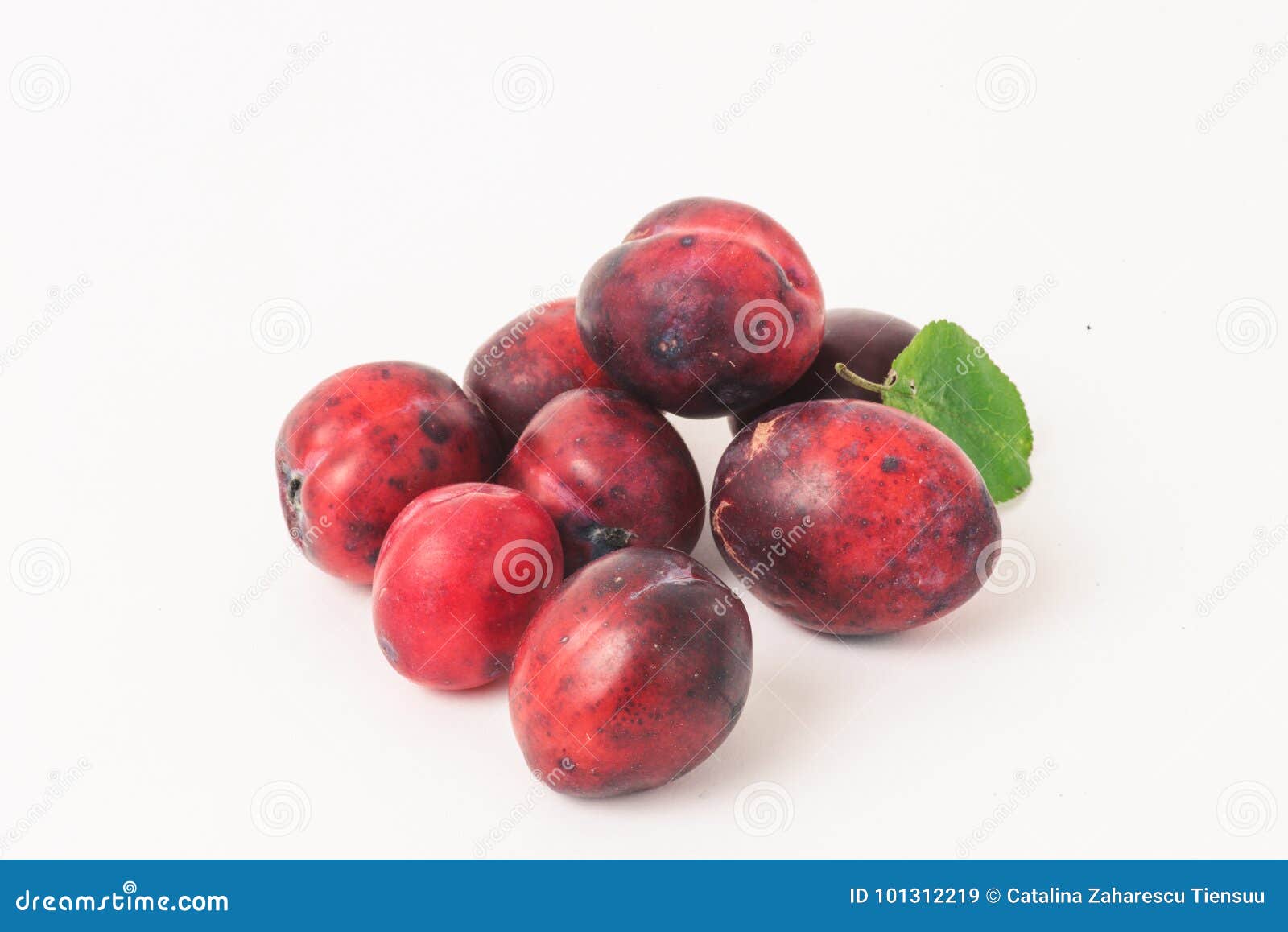 finnish plum variety called kuokkala