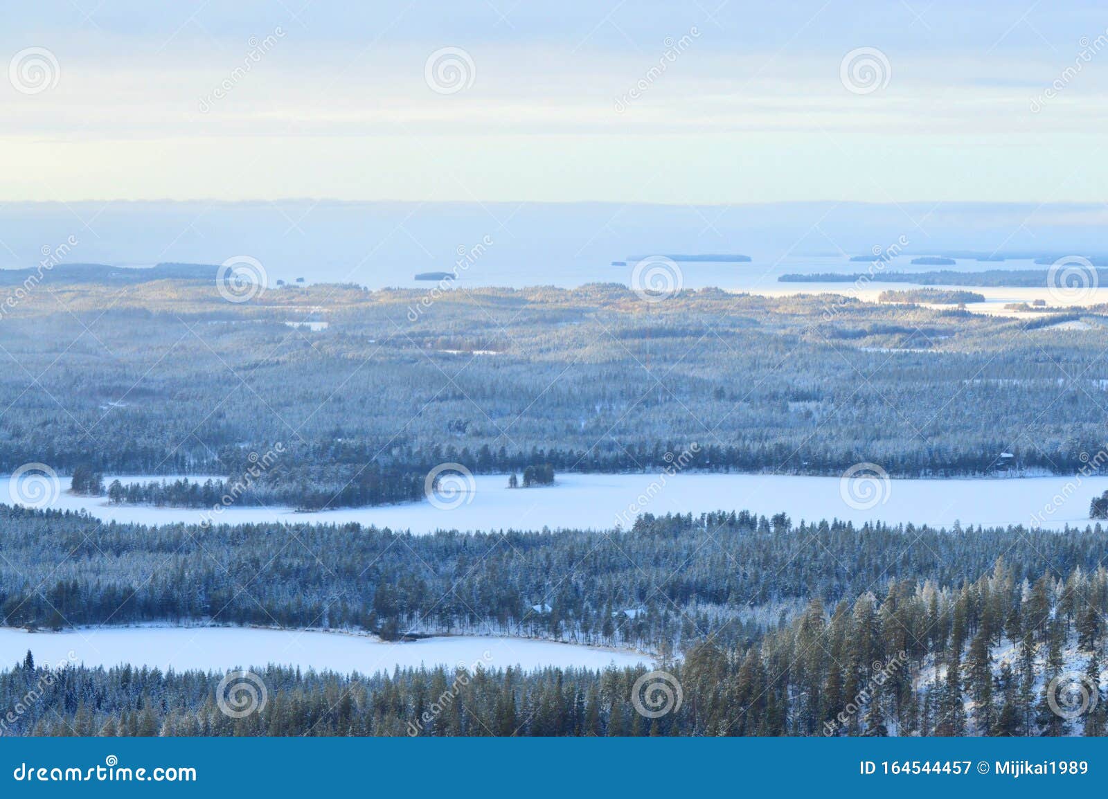 Featured image of post Konttainen Kuusamo Fading daylight and snowy trees