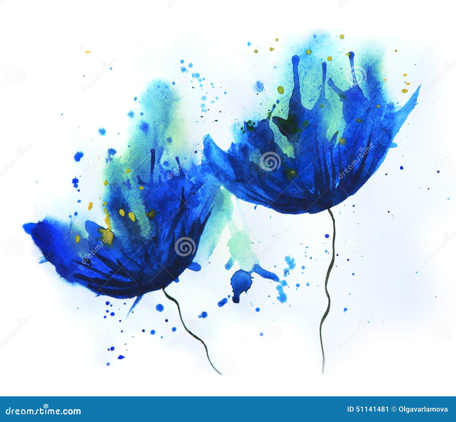 Fiordaliso dell acquerello Immagine Stock