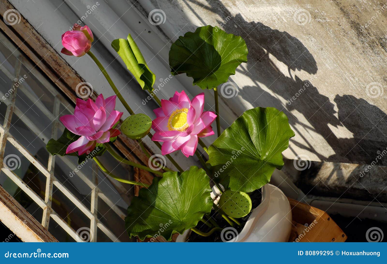 Fiori Di Loto Galleggianti Artificiali HIQE-FL - 8 Ninfee Per Laghetti E Fontane - Decorazione Giardino - Foto 2