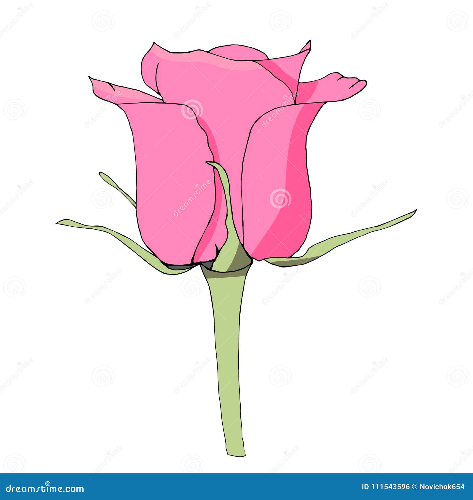 Fiore Di Rosa Di Colore Rosa Priorita Bassa Di Disegno Floreale Contesto Disegno Dell Illustrazione Illustrazione Vettoriale Illustrazione Di Campo Pianta