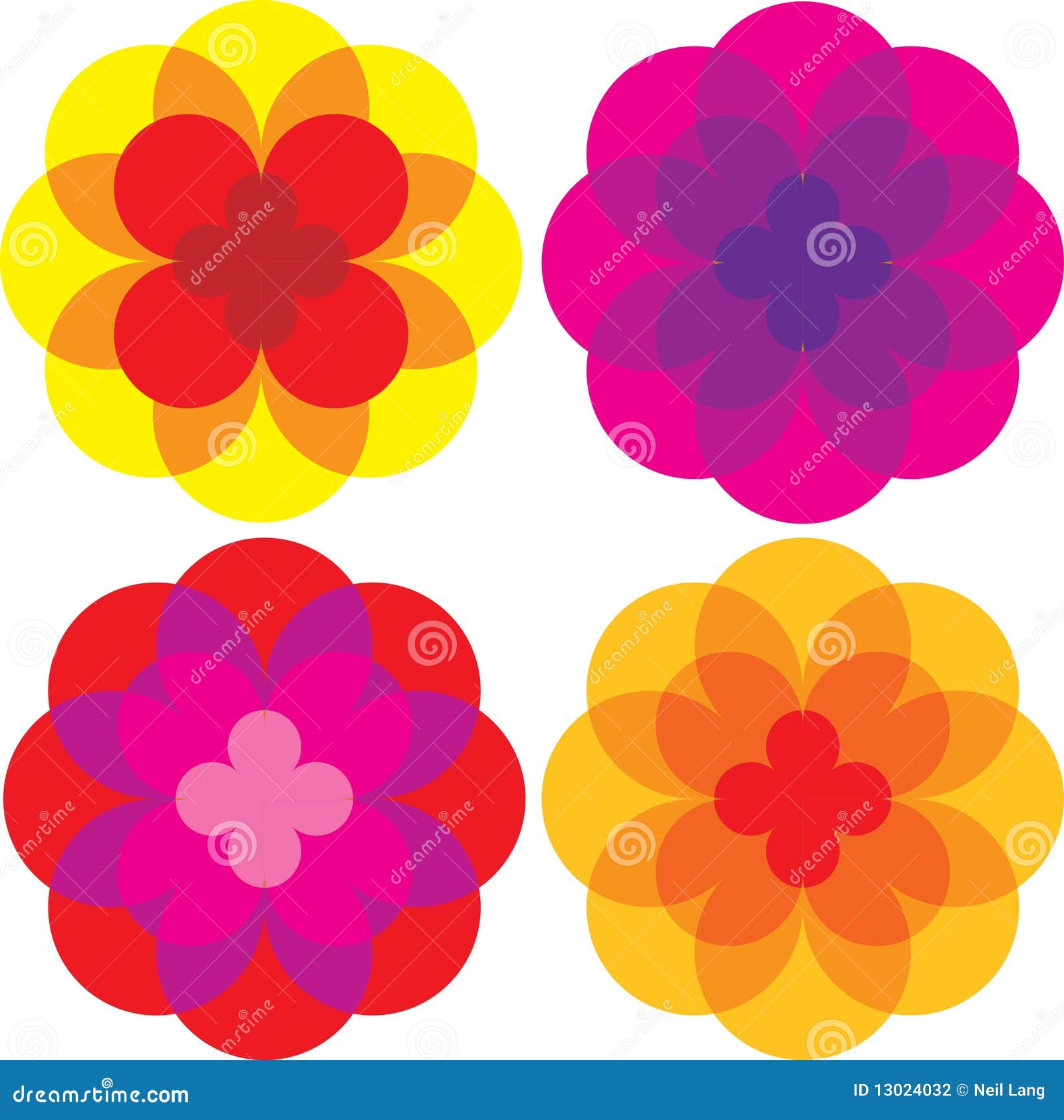 Fiori colorati della margherita Libera da Diritti