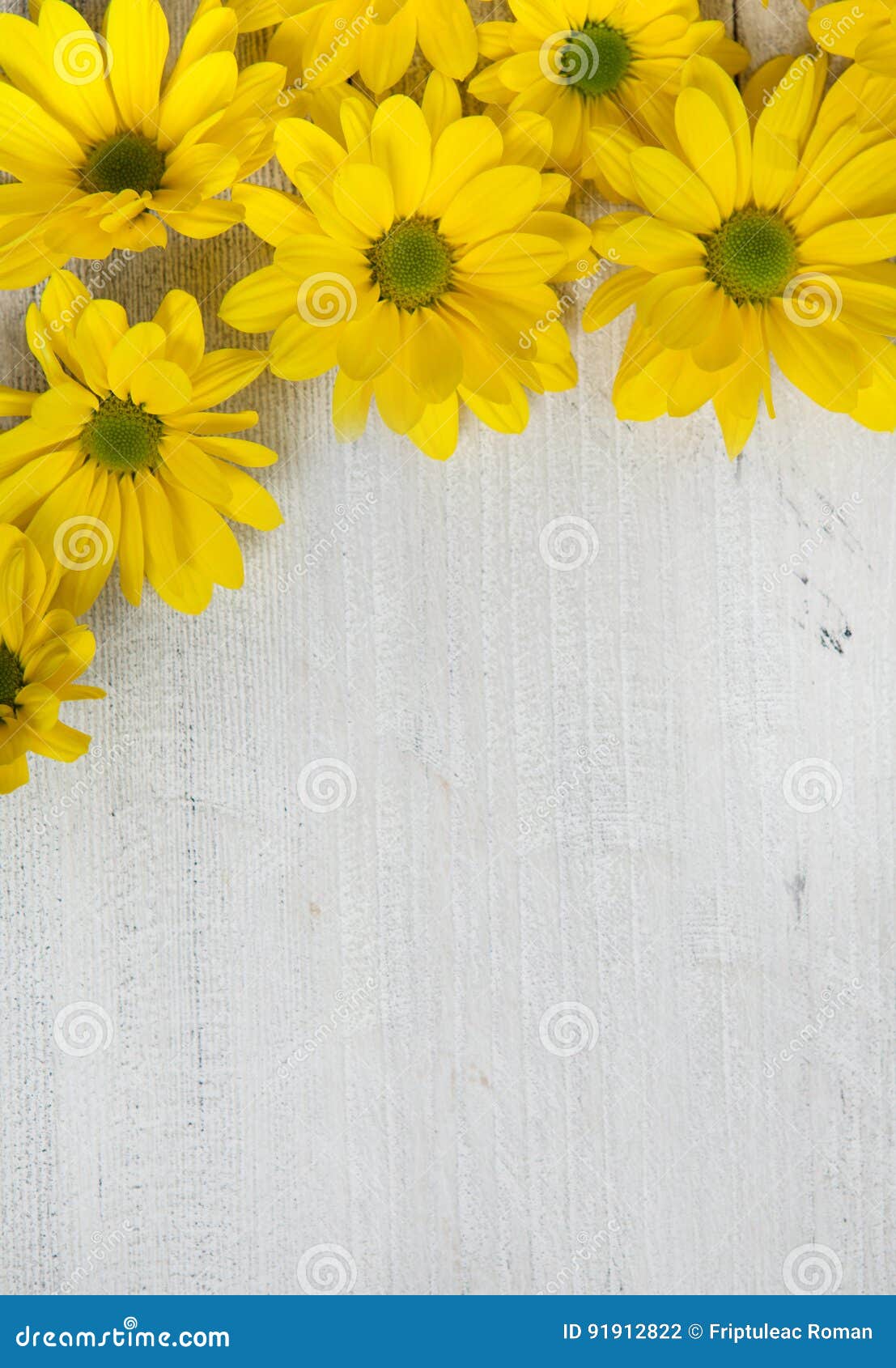 Fiori Del Giardino Sopra Il Fondo Di Legno Dipinto Della Tavola Contesto Con Lo Spazio Della Copia Bei Fiori Su Fondo Di Legno Fotografia Stock Immagine Di Struttura Copia