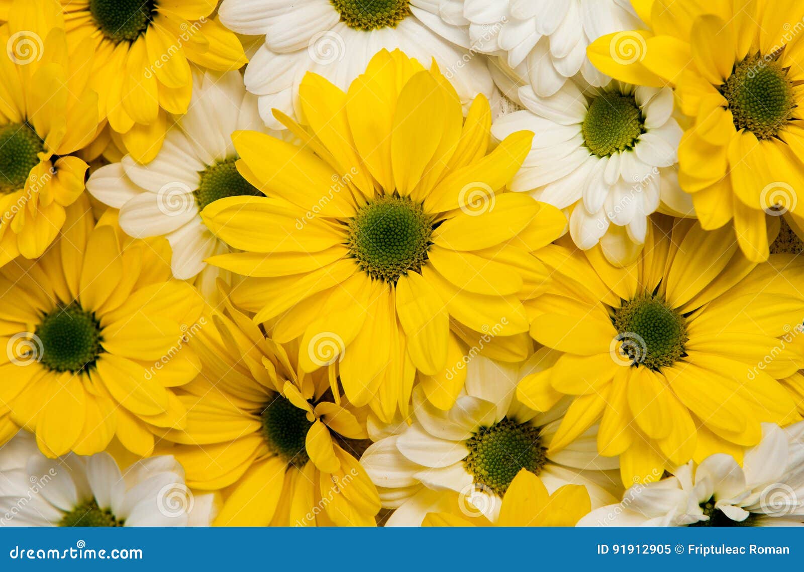 Fiori Del Giardino Sopra Il Fondo Di Legno Dipinto Della Tavola Contesto Con Lo Spazio Della Copia Bei Fiori Su Fondo Di Legno Immagine Stock Immagine Di Etnico Copia