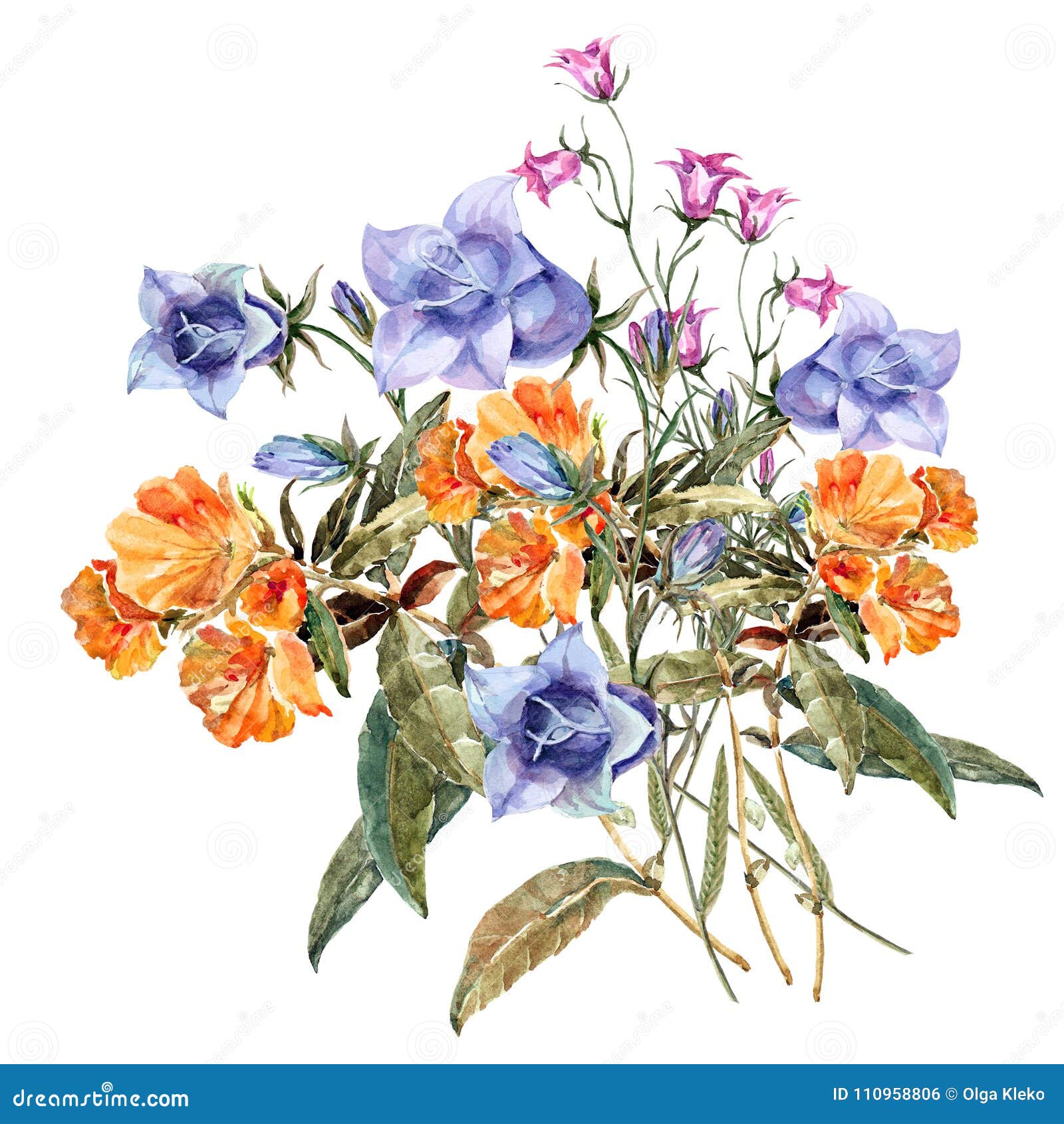 Fiori Del Prato Del Mazzo Dell Acquerello Modello Floreale Con I Fiori Blu Ed Arancio Illustrazione Di Stock Illustrazione Di Filiale Disegno